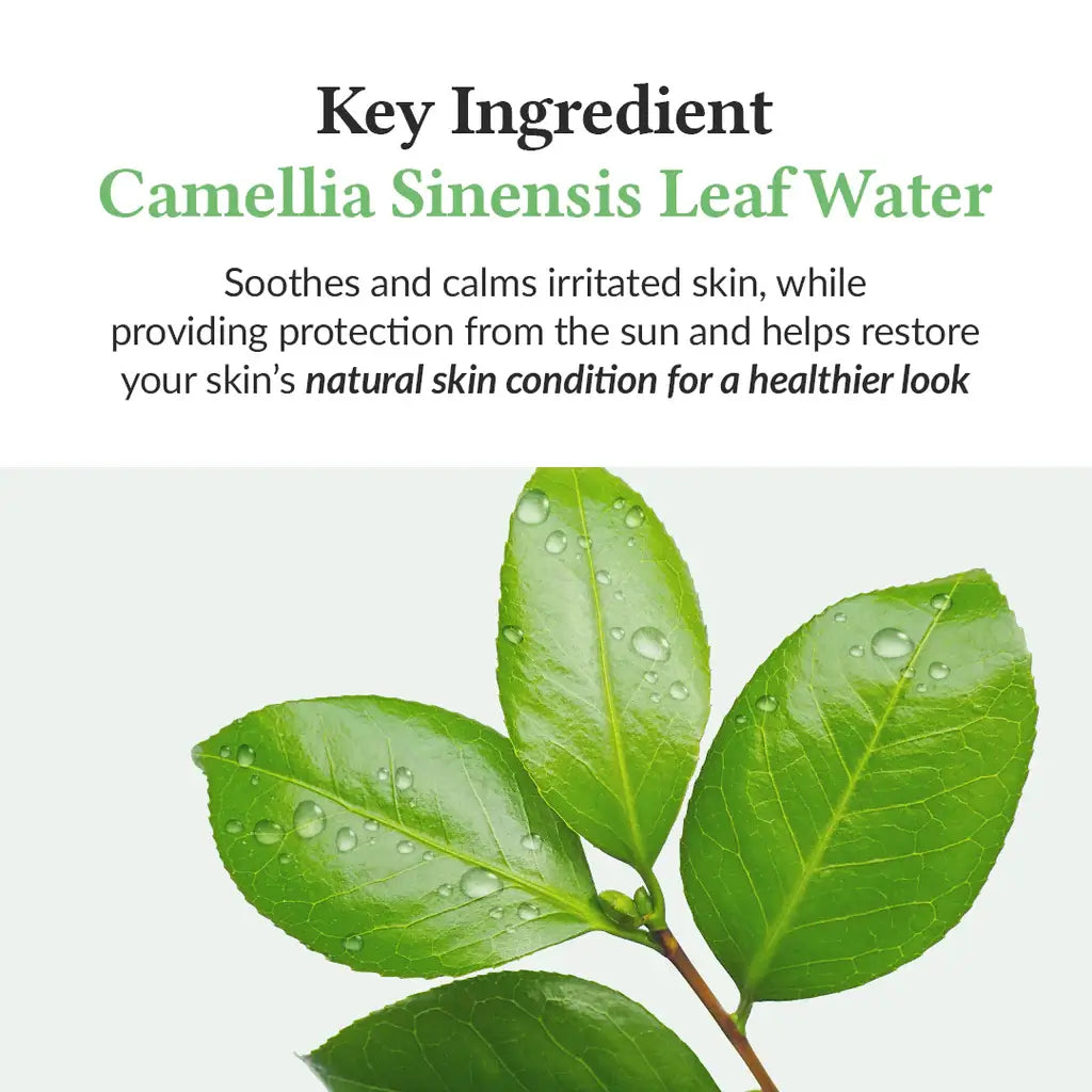 DR ALTHEA GREEN TEA FRESH SUNSCREEN SPF 50+ 45ML – vue 3